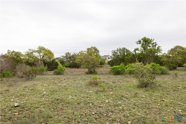 Property Photo:  Tbd Logan'S Way  TX 78606 