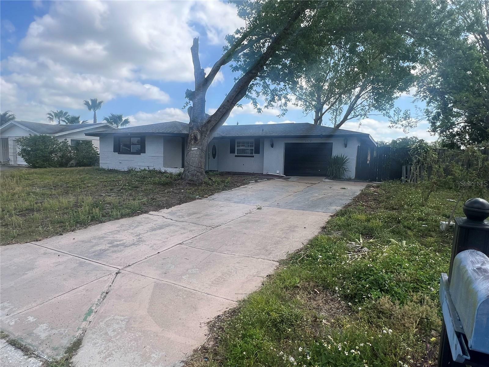 Property Photo: 10228 Amadeus Drive FL 34668