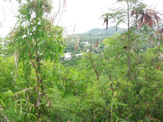 Property Photo: 192 La Vallee Nb VI 00840