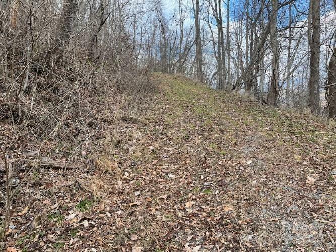 Property Photo:  0000 Everidge Drive  NC 28716 
