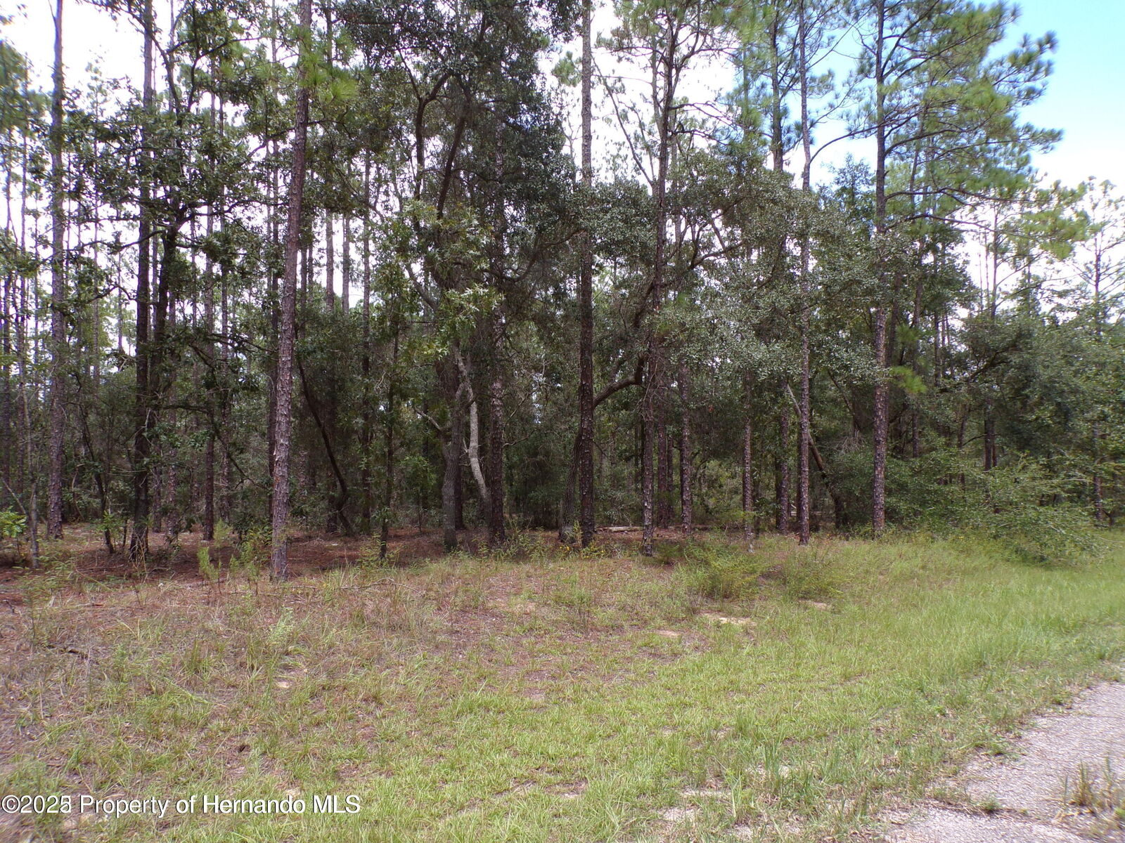 Property Photo:  601 E Marquette Lane  FL 34434 