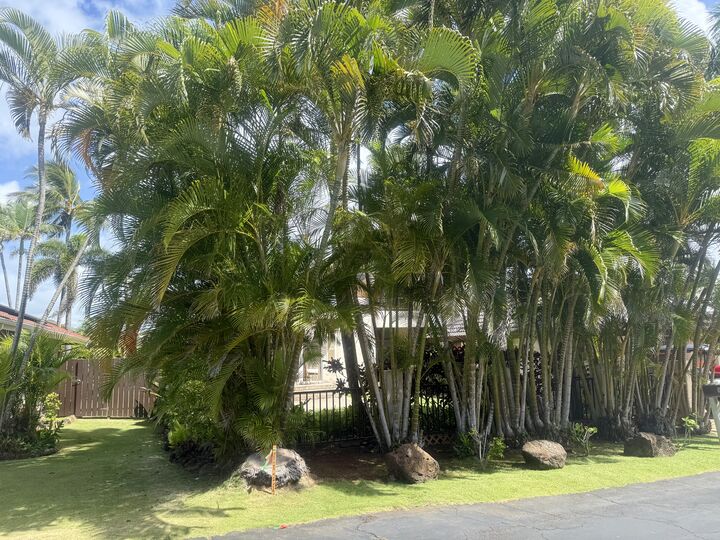 1672 Kelaukia St  Koloa HI 96756 photo