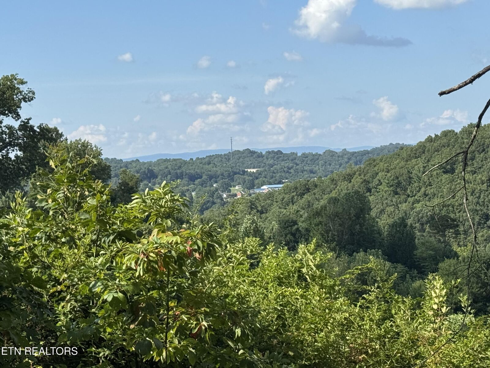 Property Photo: Cole Hollow Rd TN 37825