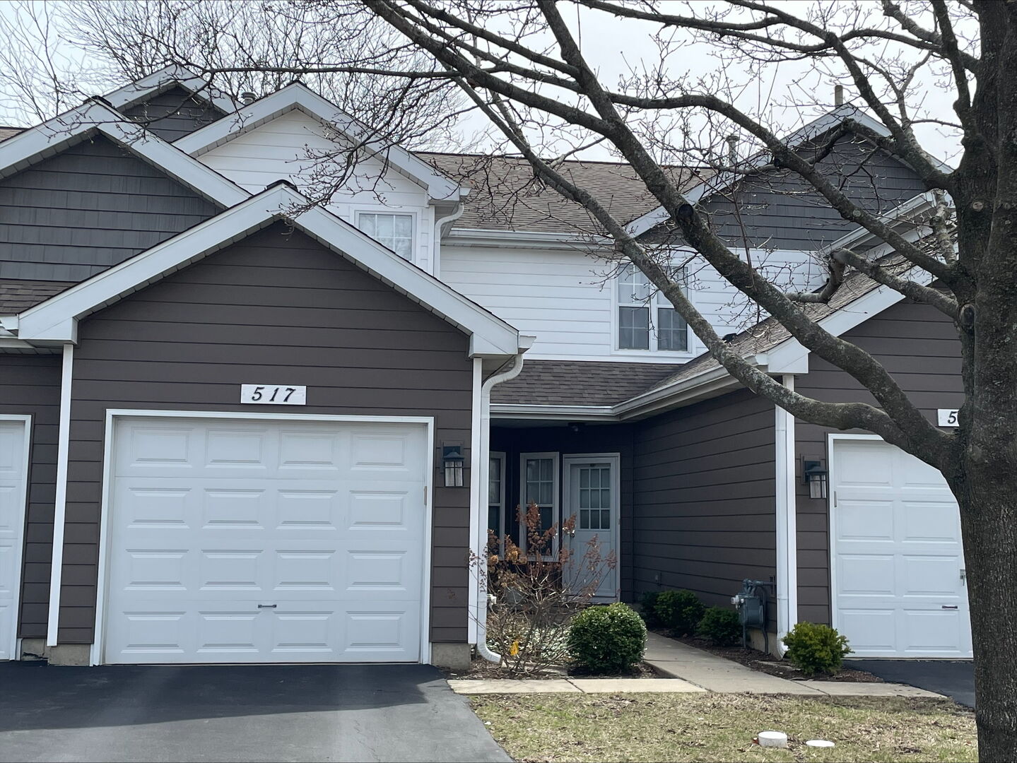 Property Photo:  517 Woodhaven Drive  IL 60060 