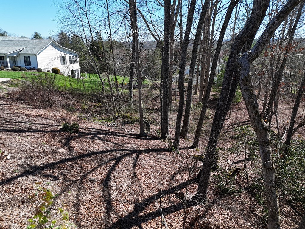 Property Photo:  Lot 91 Peyton Drive  GA 30513 