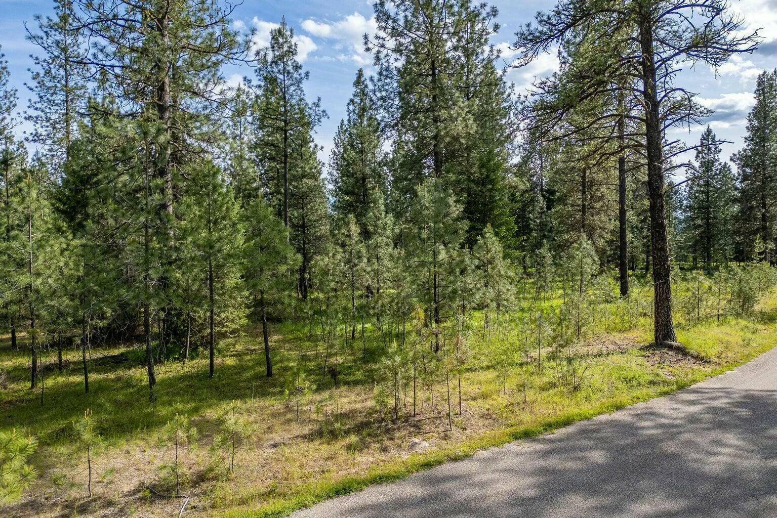 Property Photo: Lot 22 Couples Ct WA 99109