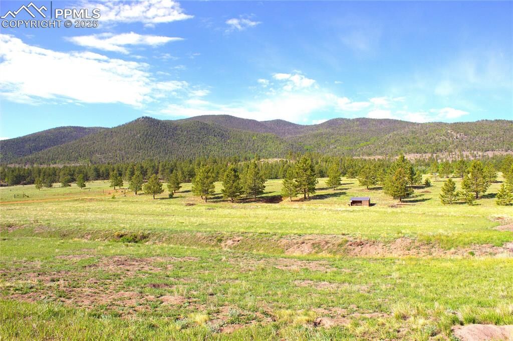 Property Photo:  43 Stoll Circle  CO 80827 