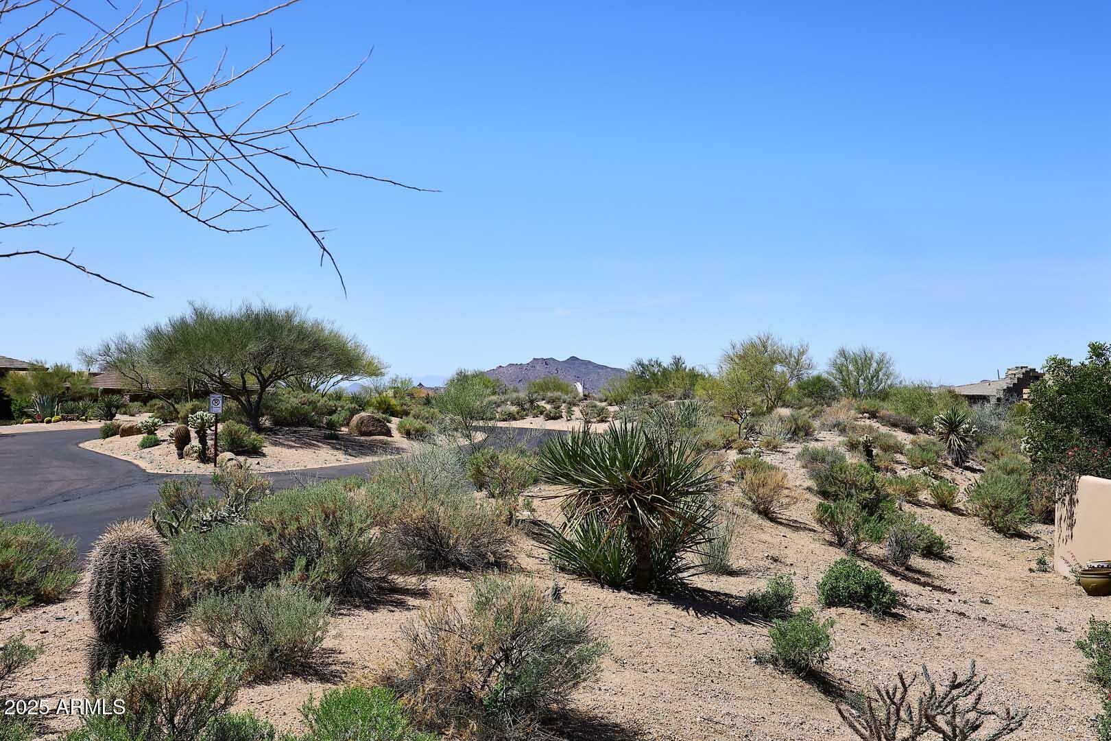 Property Photo: 10204 E Nolina Trail AZ 85262