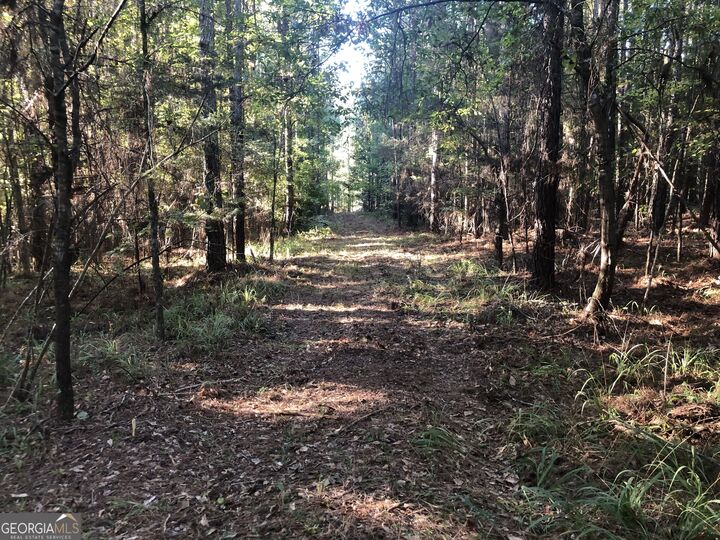Property Photo:  Lot 10 Triune Mill Road  GA 30286 
