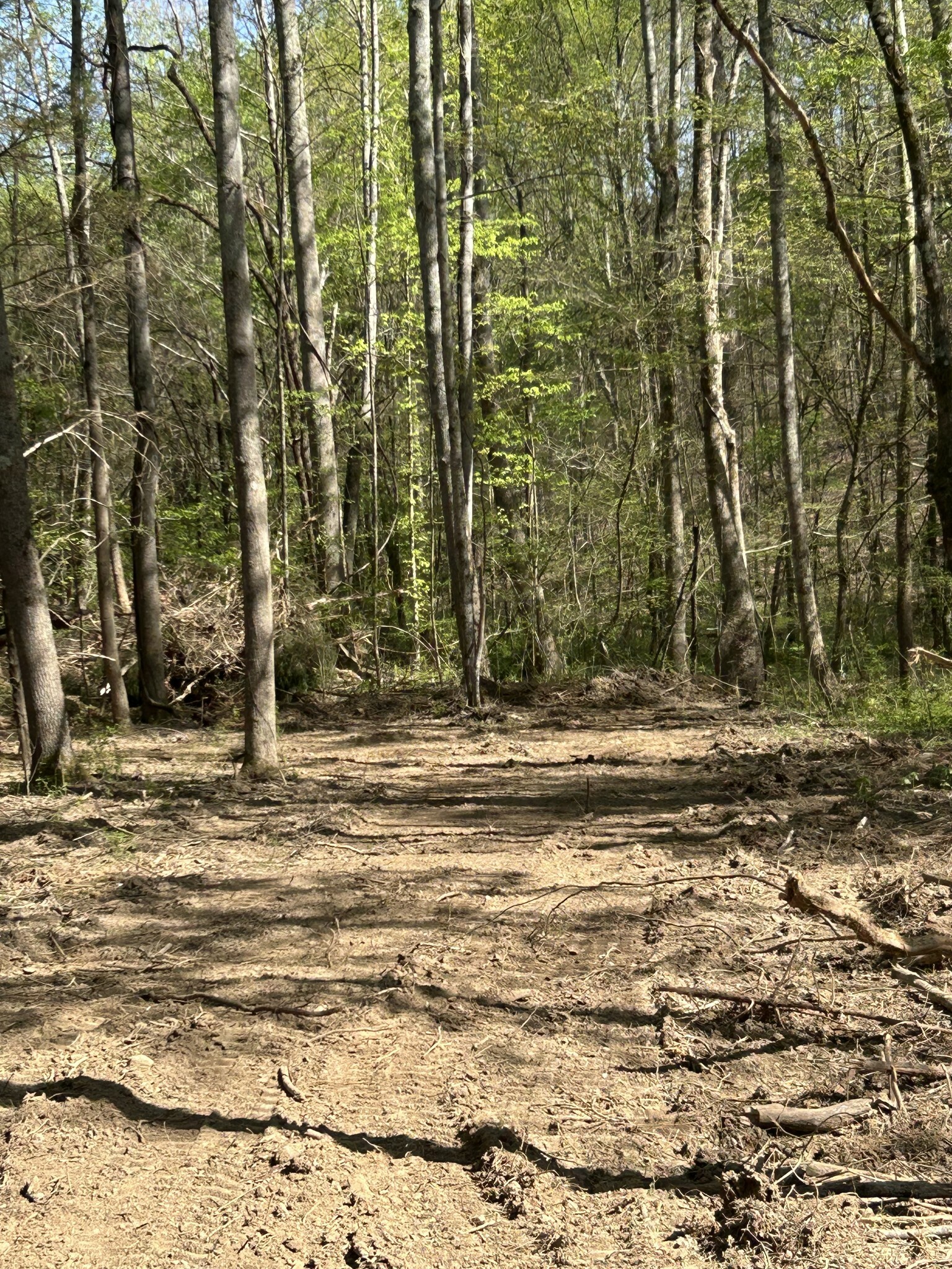 Property Photo: 820 Lucas Rd TN 37055