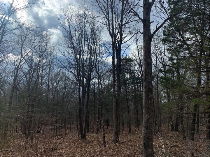 Property Photo:  14710 Summer Shade Road  AR 72774 