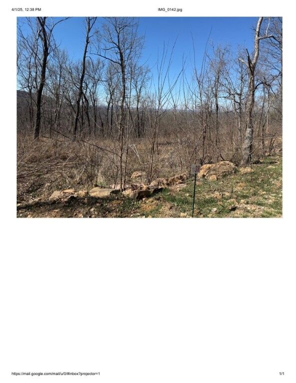 Property Photo: Lot 38 Peaceful Place AR 72681