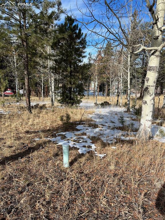 Property Photo: 630 Pembrook Drive CO 80863
