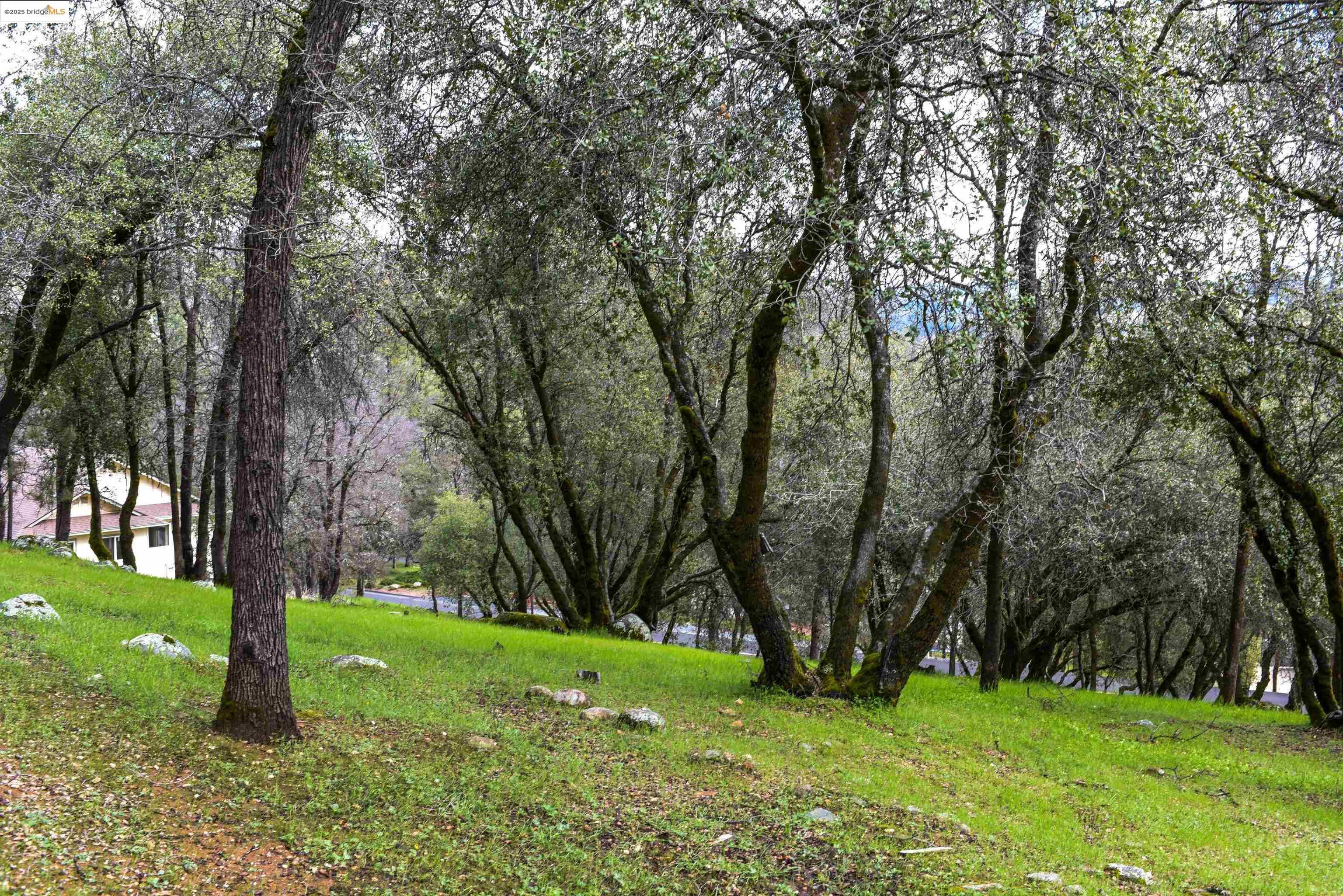 Property Photo: 19077 Apple Valley Dr. CA 95370