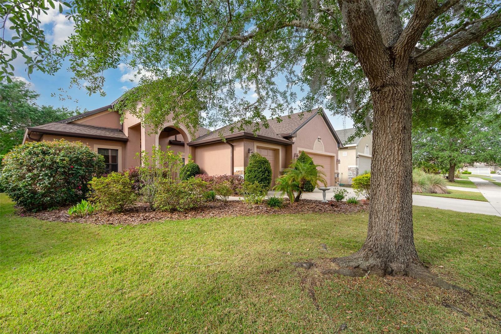 3048 New Haven Place  Mount Dora FL 32757 photo