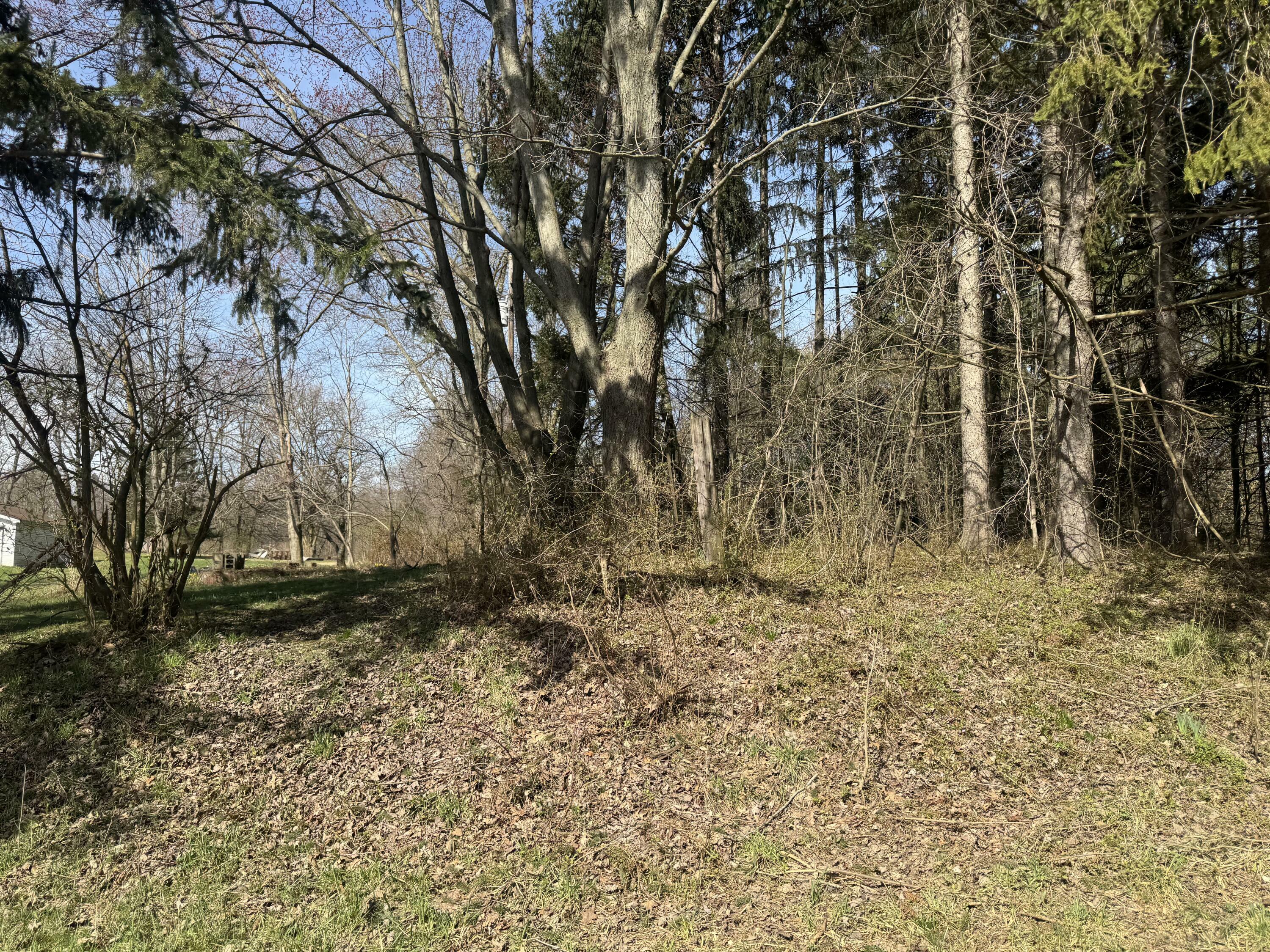16802 Runyon Road  Buchanan MI 49107 photo