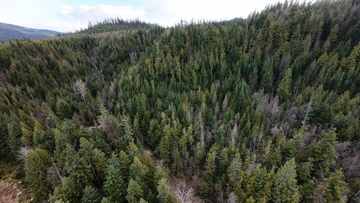 7301 Wa-31  Ione WA 99139 photo