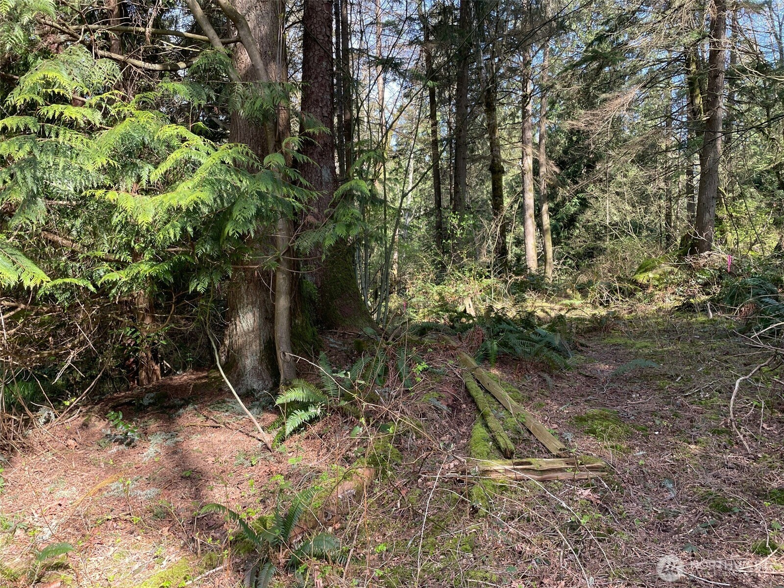 Property Photo: 2031 Camber Lane WA 98230