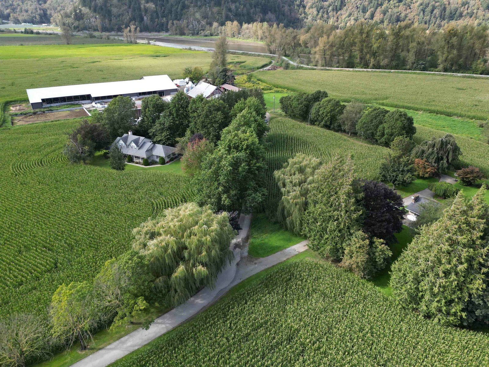 Property Photo: 39205 North Parallel BC V3G 2K3