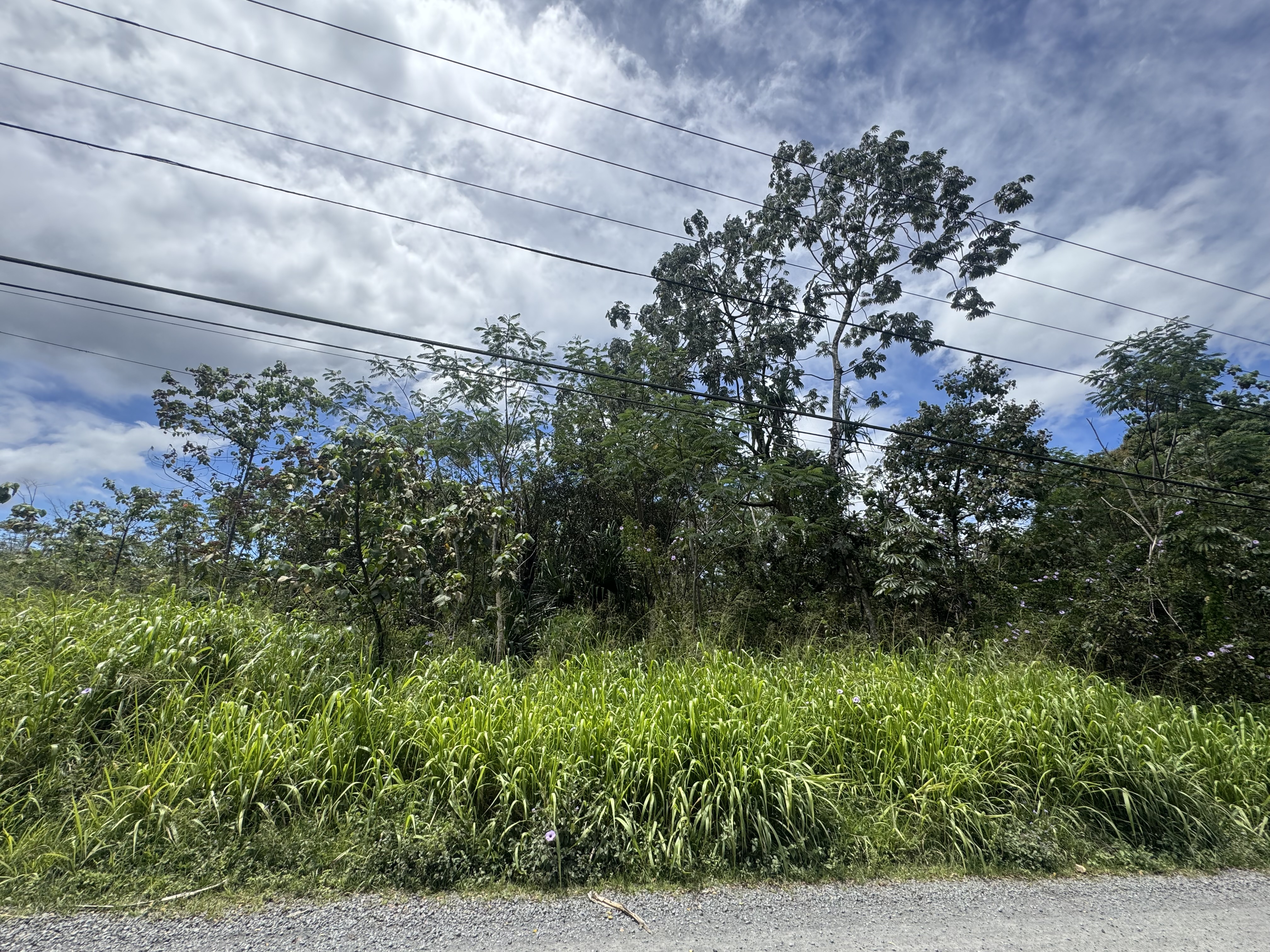 Property Photo: 13th Ave HI 96749