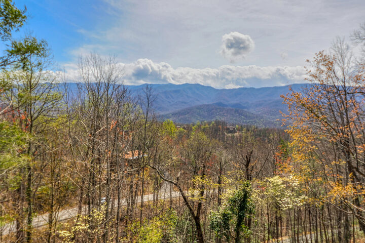Property Photo: 647 Sunshine Trail TN 37738