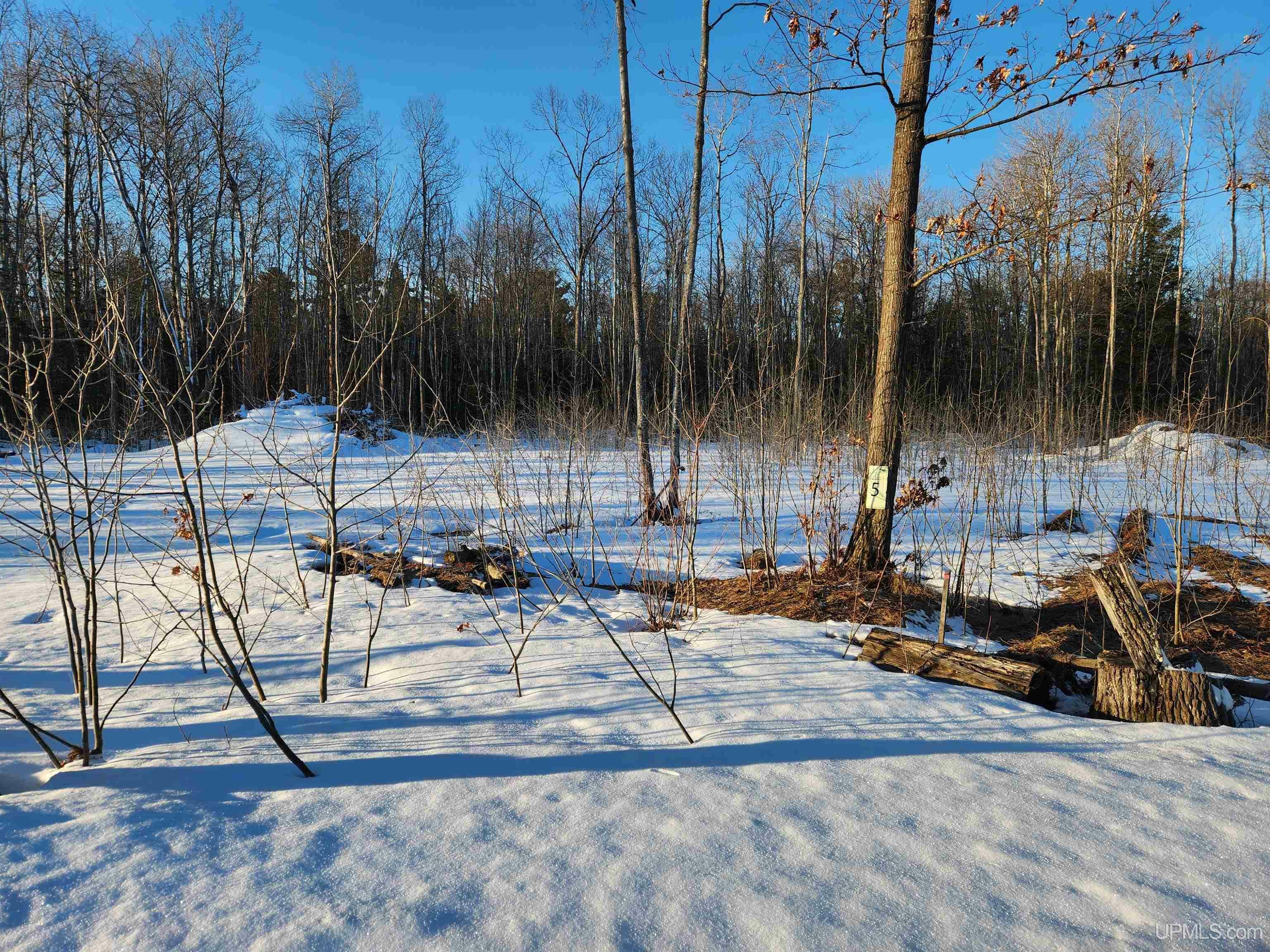 Property Photo: Unit 5 Greenway Drive MI 49916