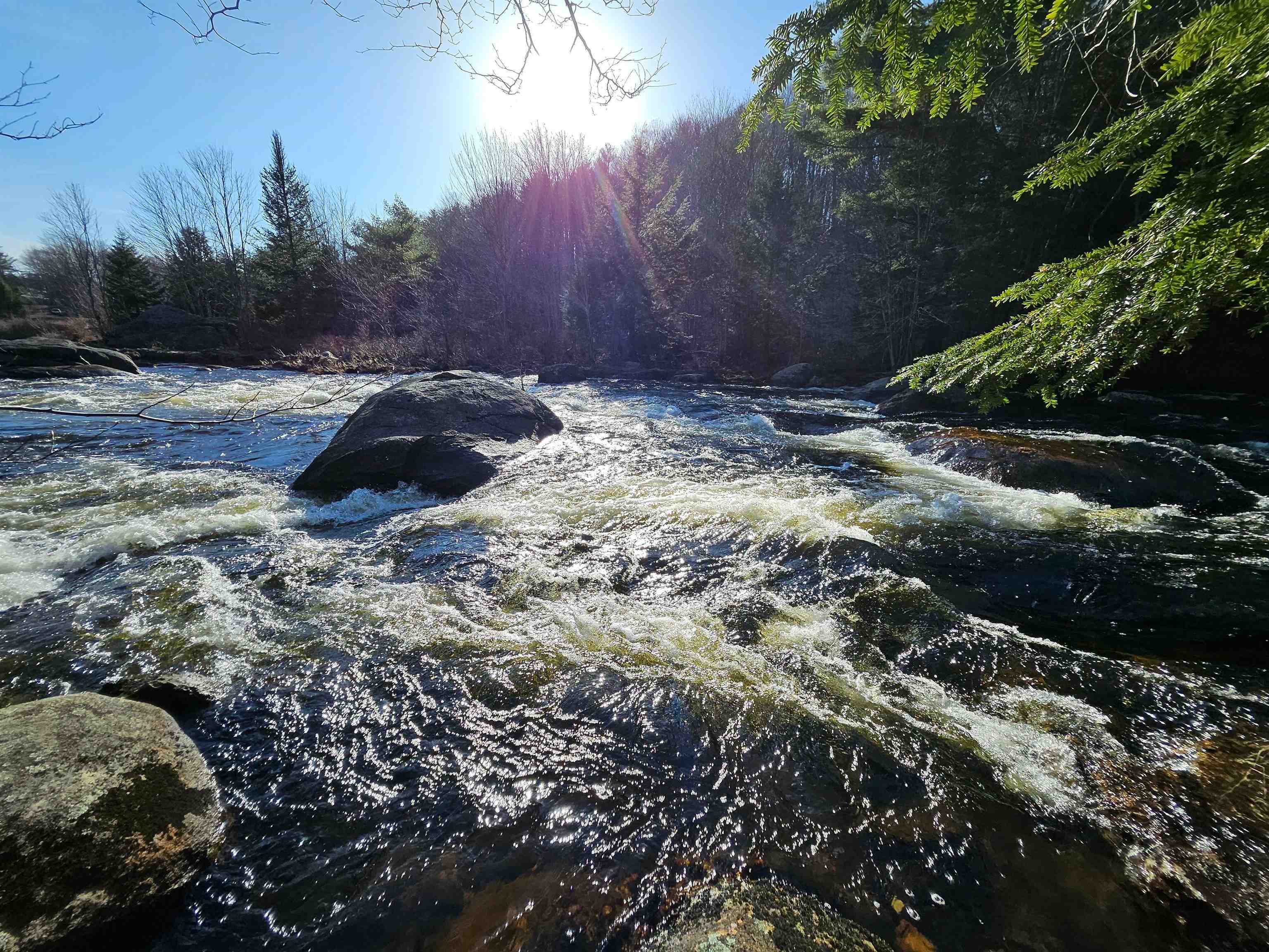 Property Photo: 00 Off Nh Route 10 NH 03456