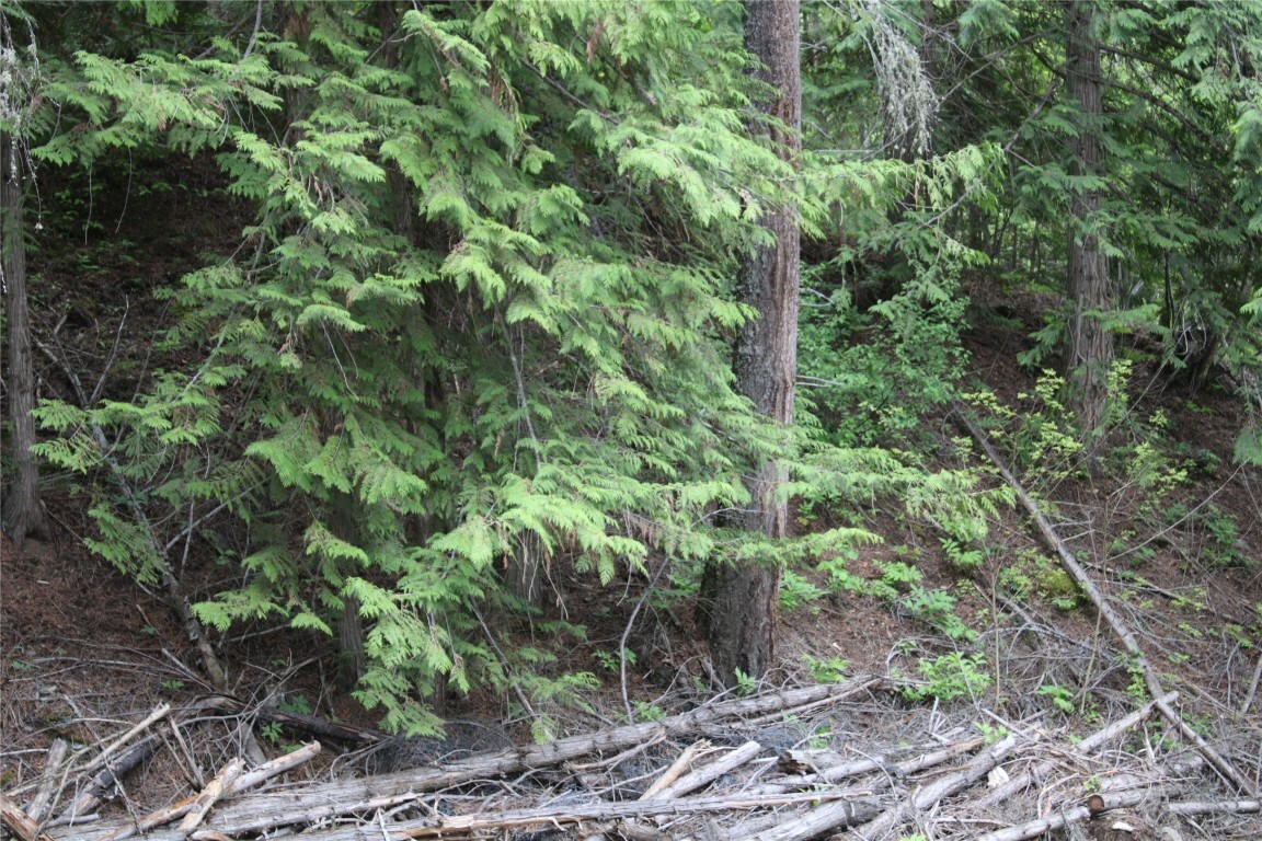 Property Photo: 8457 Squilax-Anglemont Road BC V0E 1M9
