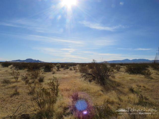 Property Photo: 0 Arroyo Avenue CA 93501