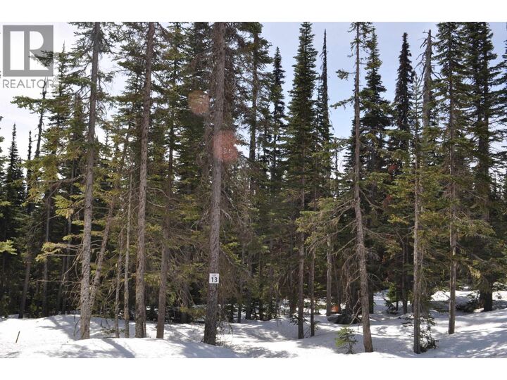 Property Photo:  Lt 13 Alpine Way Pr. St  BC V0J 2N0 