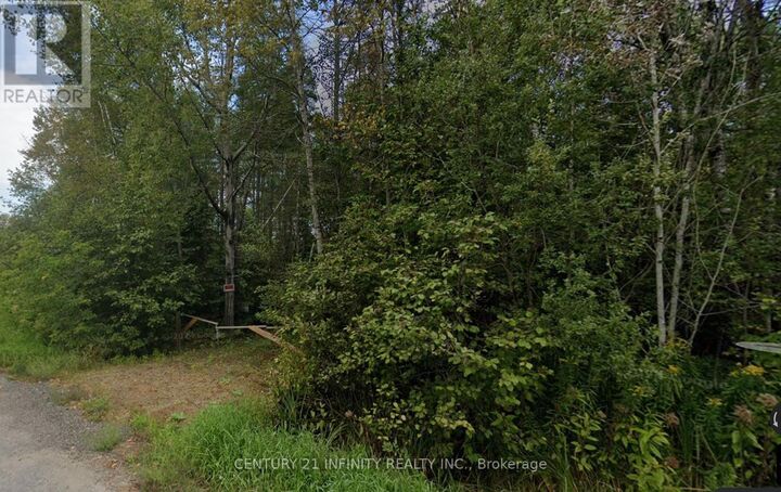 0 McKnight Drive  Minden Hills (Lutterworth) ON K0M 2K0 photo