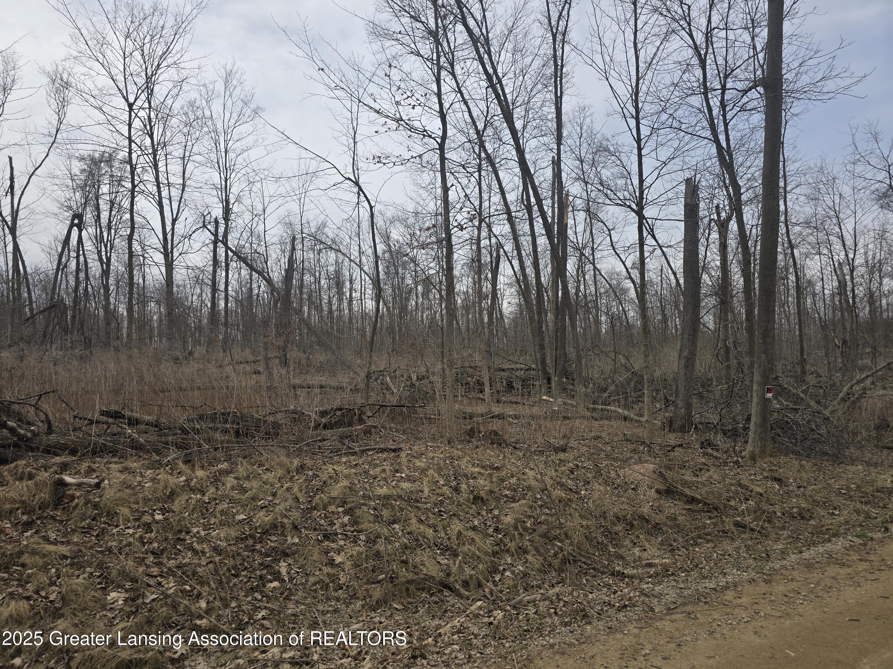 Property Photo:  2 W McCrumb Road  MI 48822 