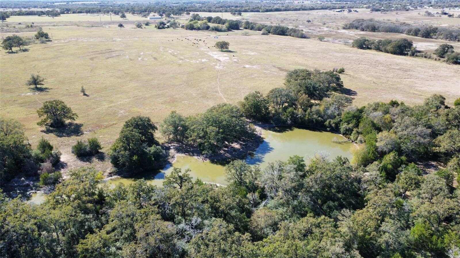 Property Photo:  14727 Private Road 4047  TX 77879