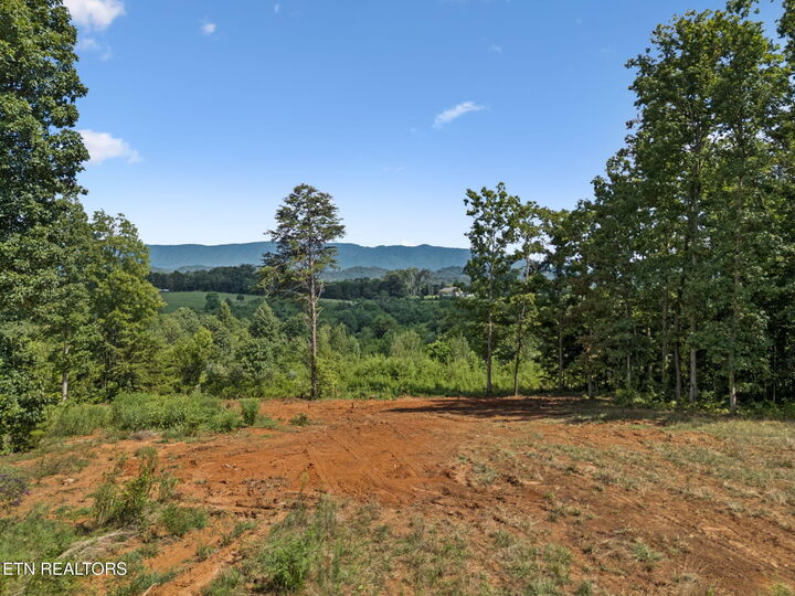 Property Photo:  126 Campbell Way  TN 37801 