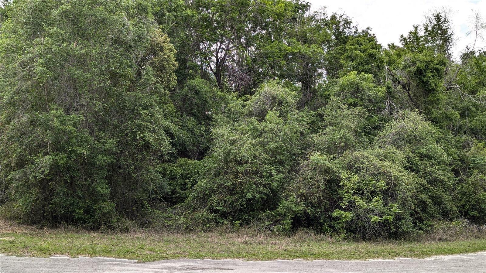 Property Photo: 00 SE 23rd Lane FL 32693
