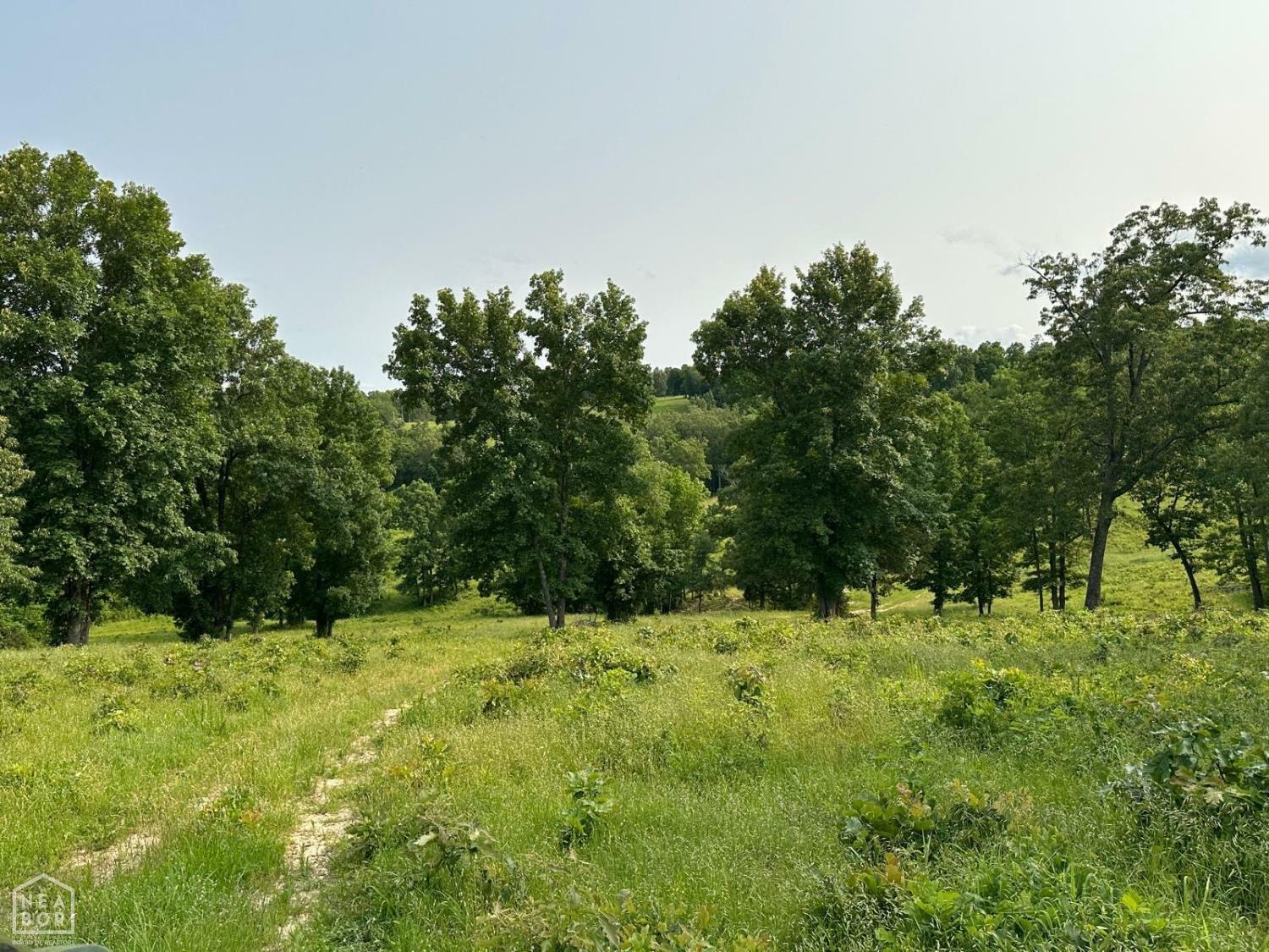 Property Photo: 1 Mc 5014 AR 72633