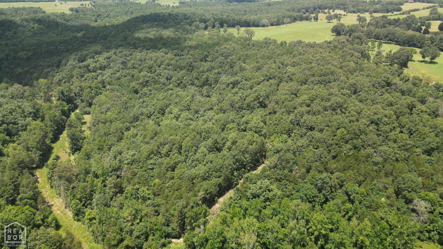 Property Photo: 881 Driftwood Drive AR 72566