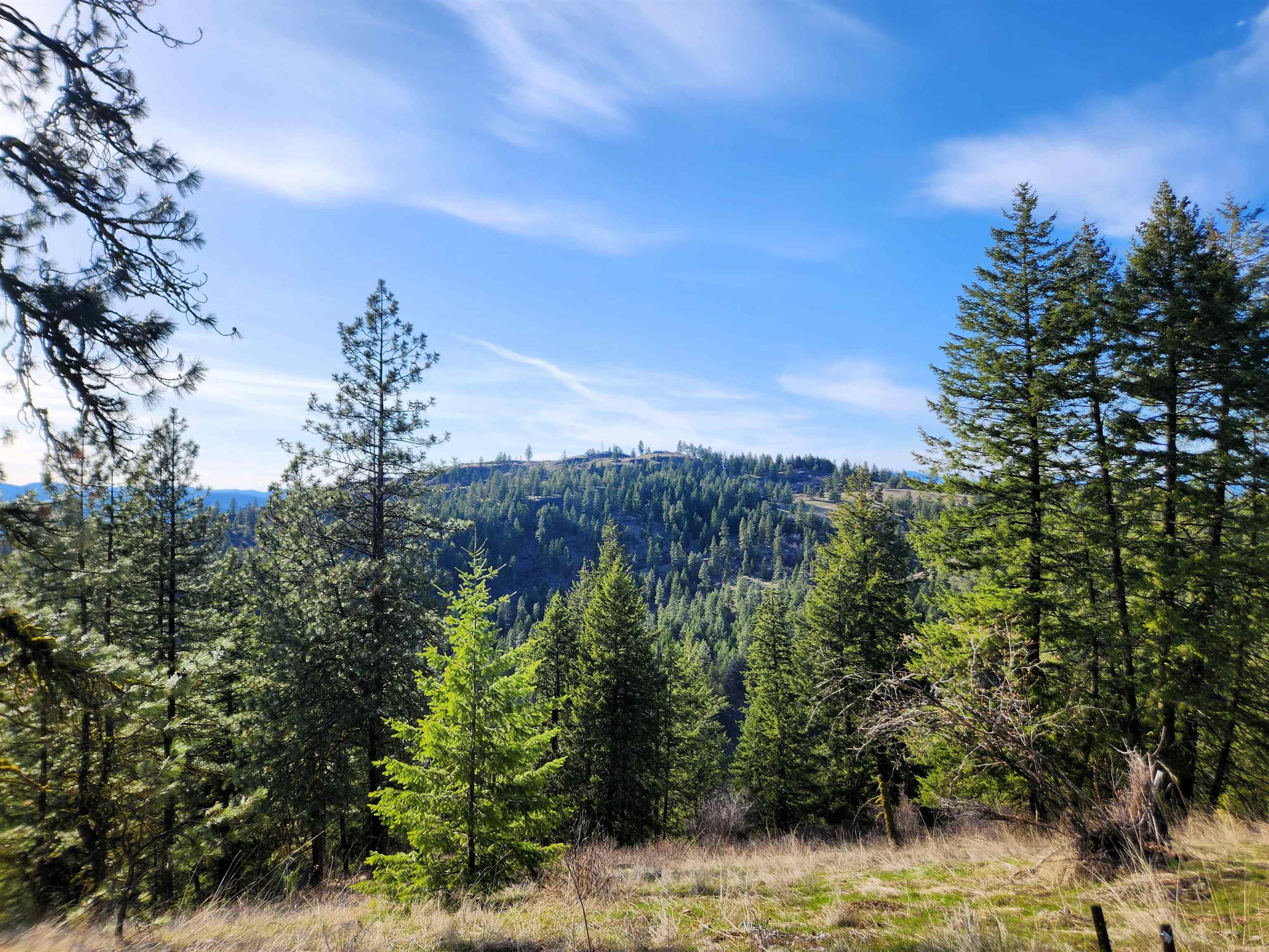 Property Photo: 4021 Bissell Rd WA 99137