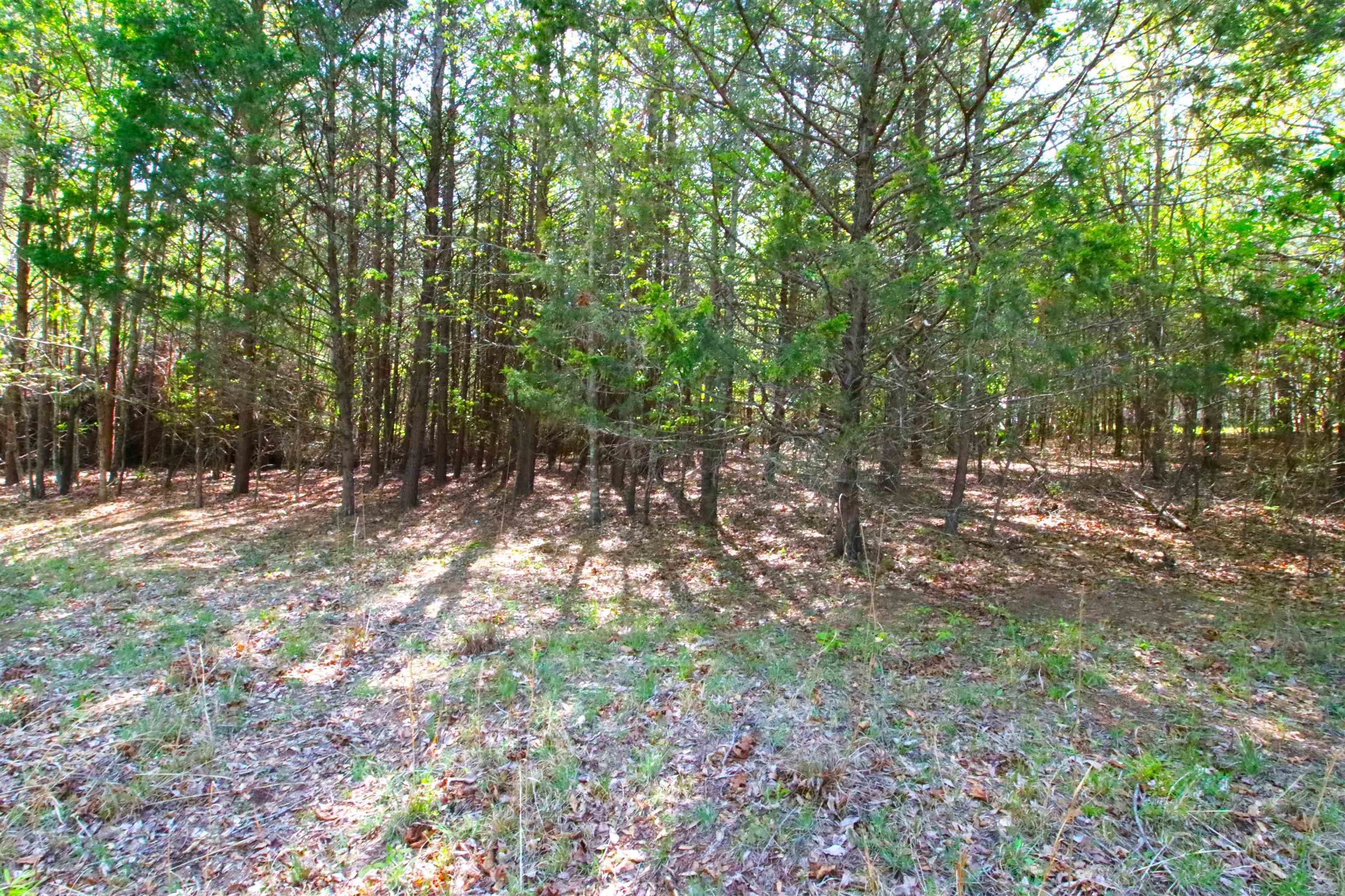 Property Photo: 0 Emma Cudd Road SC 29346