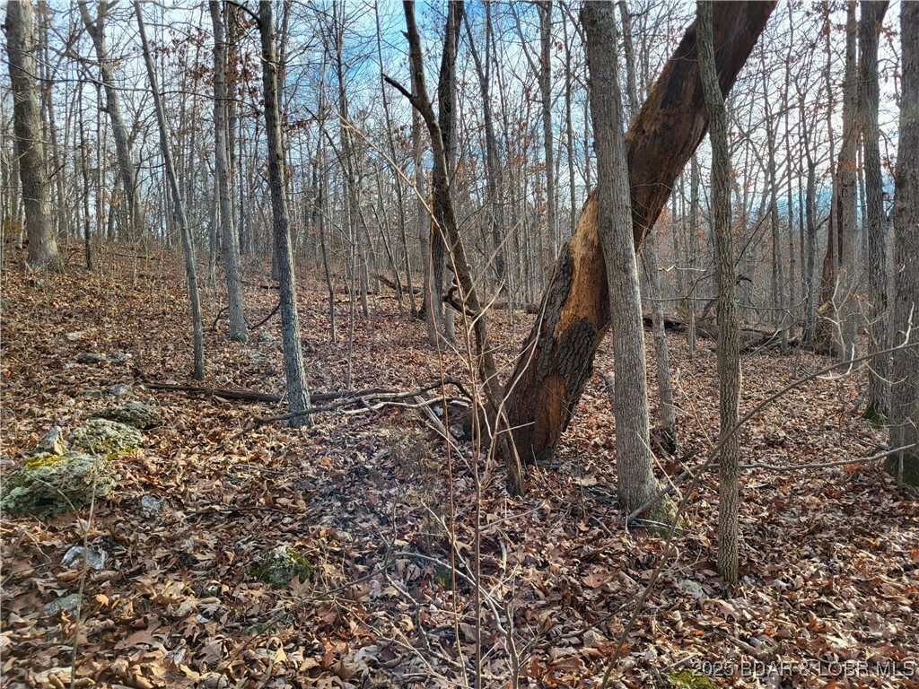 Property Photo: Lazy Acres Lots Road MO 65326