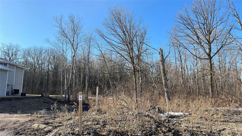 112 Ravenhill Drive  Kleefeld MB R0A 0V2 photo
