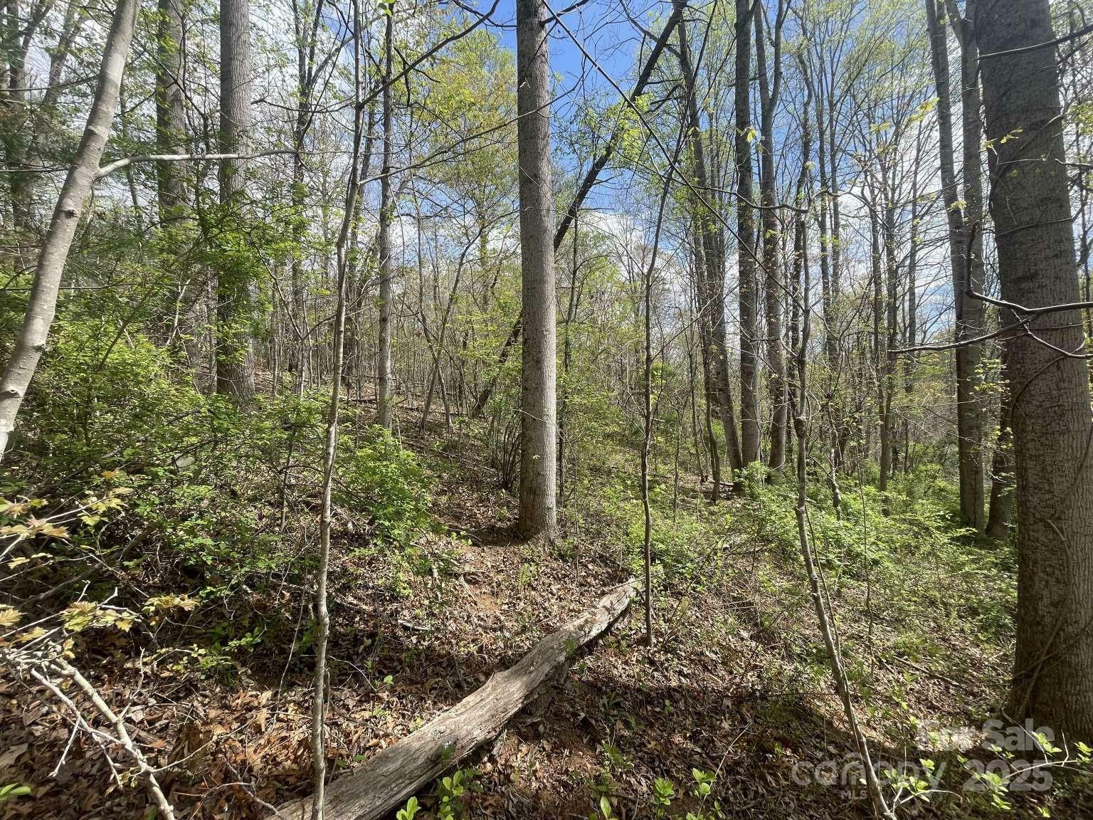 Property Photo: 157 Richmond Ridge Road NC 28806