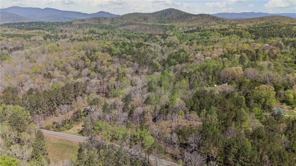 Property Photo: 0 Hwy 53 East GA 30148