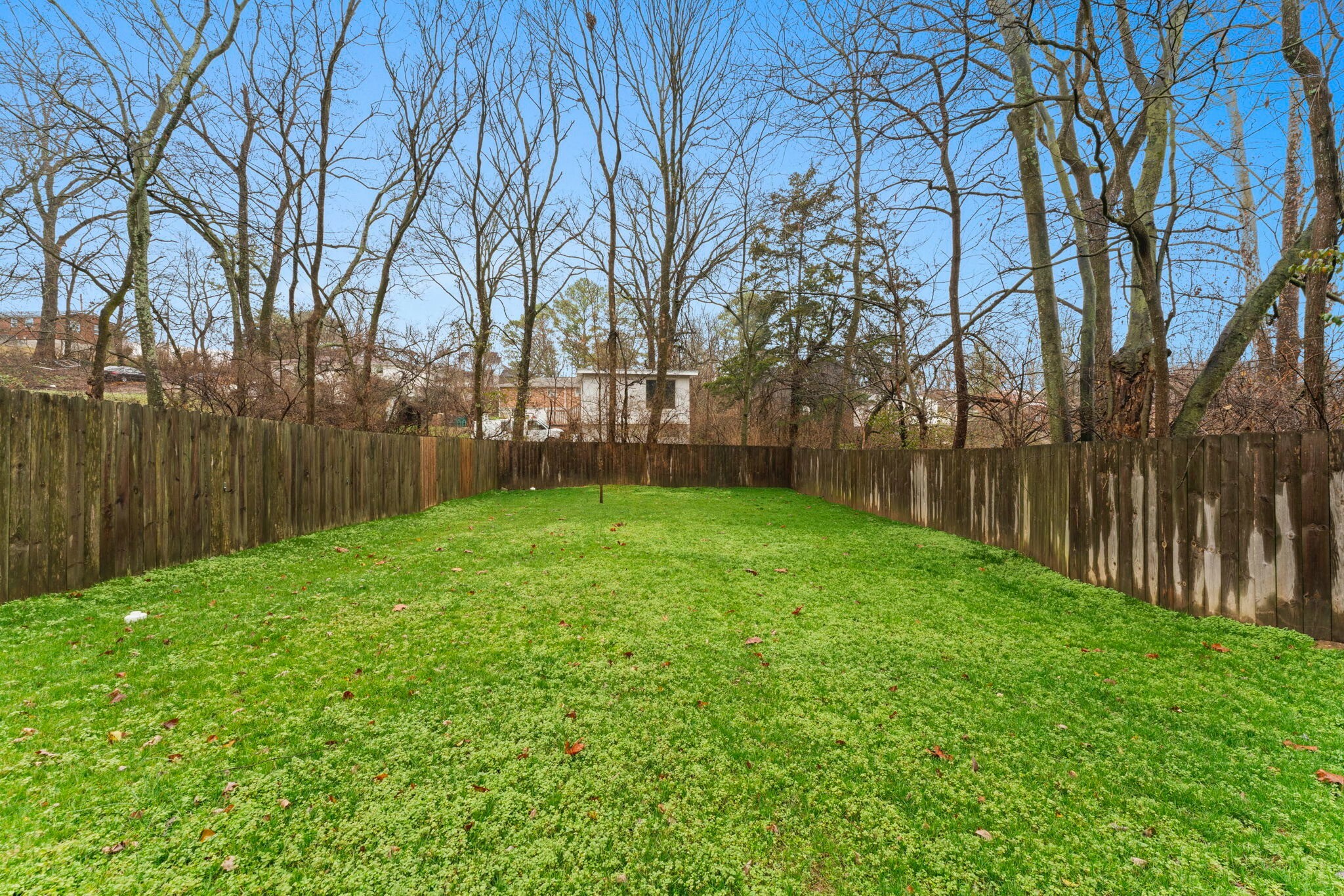 Property Photo: 354A Leo Ln TN 37211