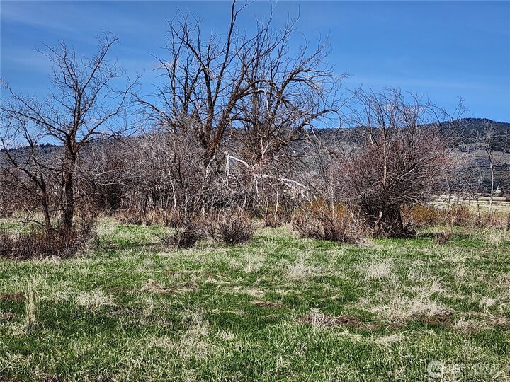 Property Photo:  15800  Reecer Creek Road  WA 98926 