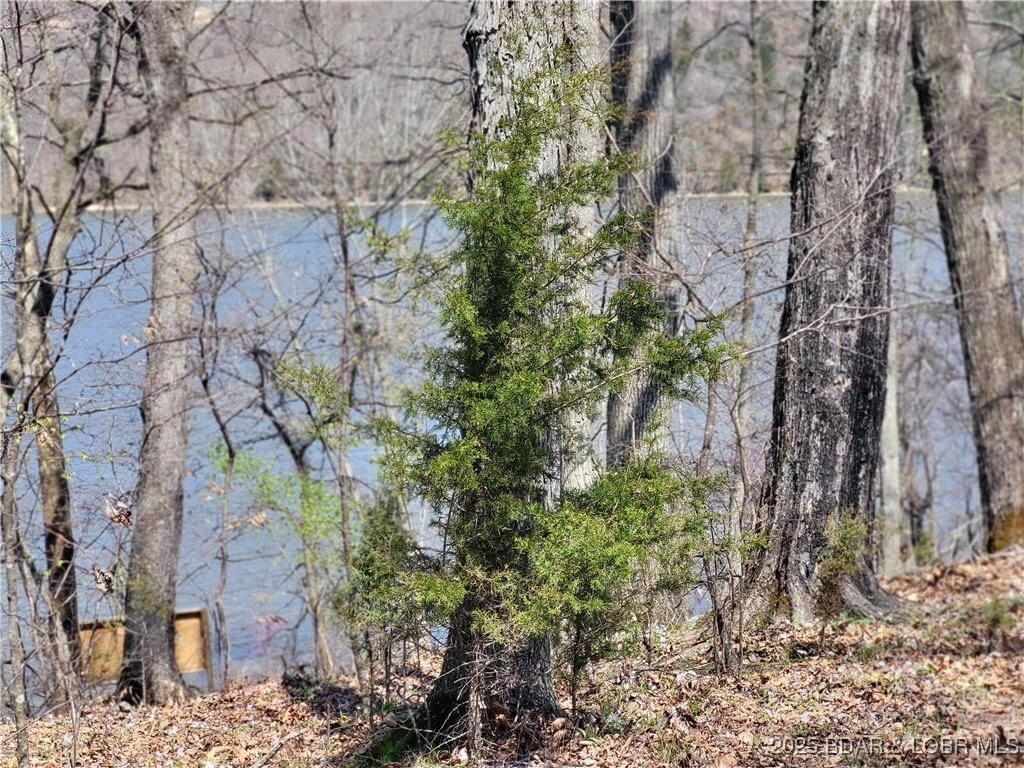 Property Photo: Emerald Hills Drive Phase 4A Lot 2 MO 65326