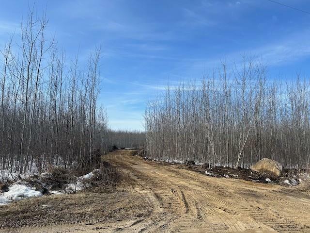 Property Photo: 4 Ironwood Point Road MB R0E 2A0