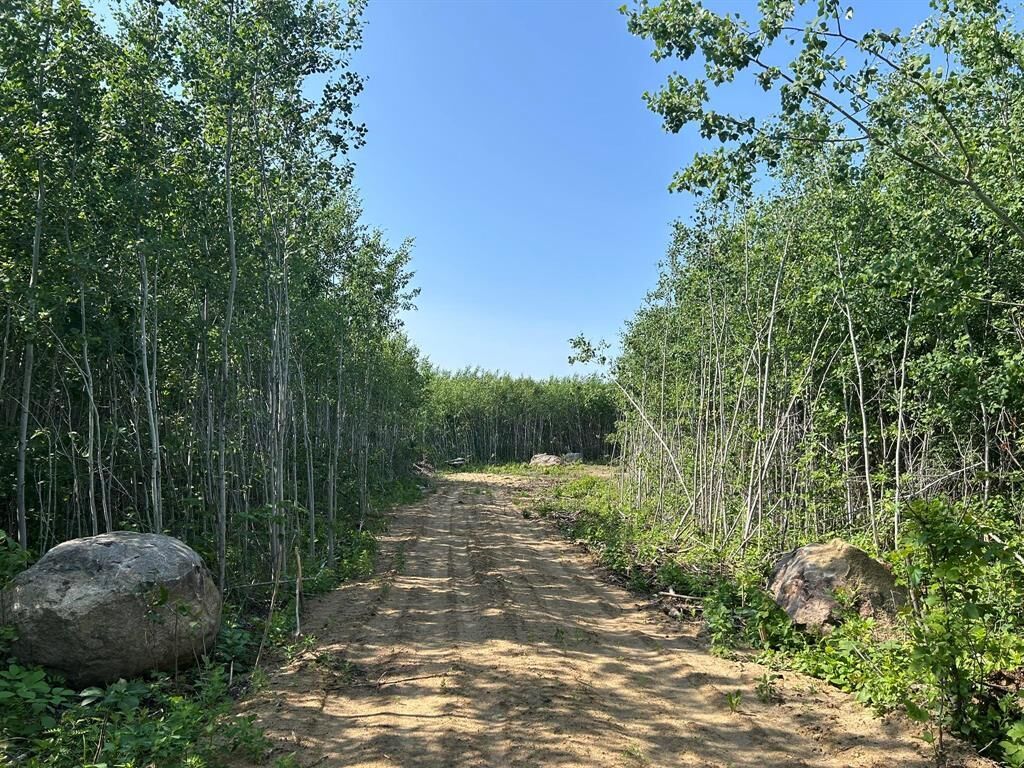 Property Photo: 4 Ironwood Point Road MB R0E 2A0