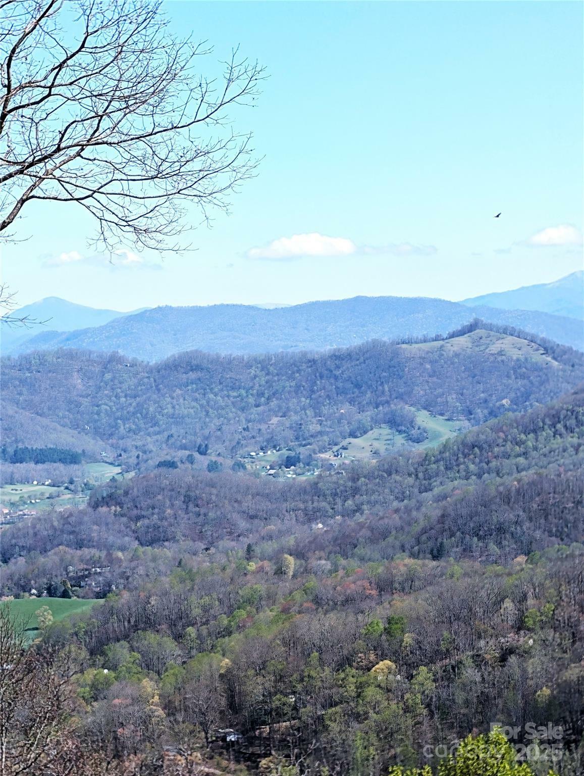Property Photo:  40 Dorchester Road  NC 28785 