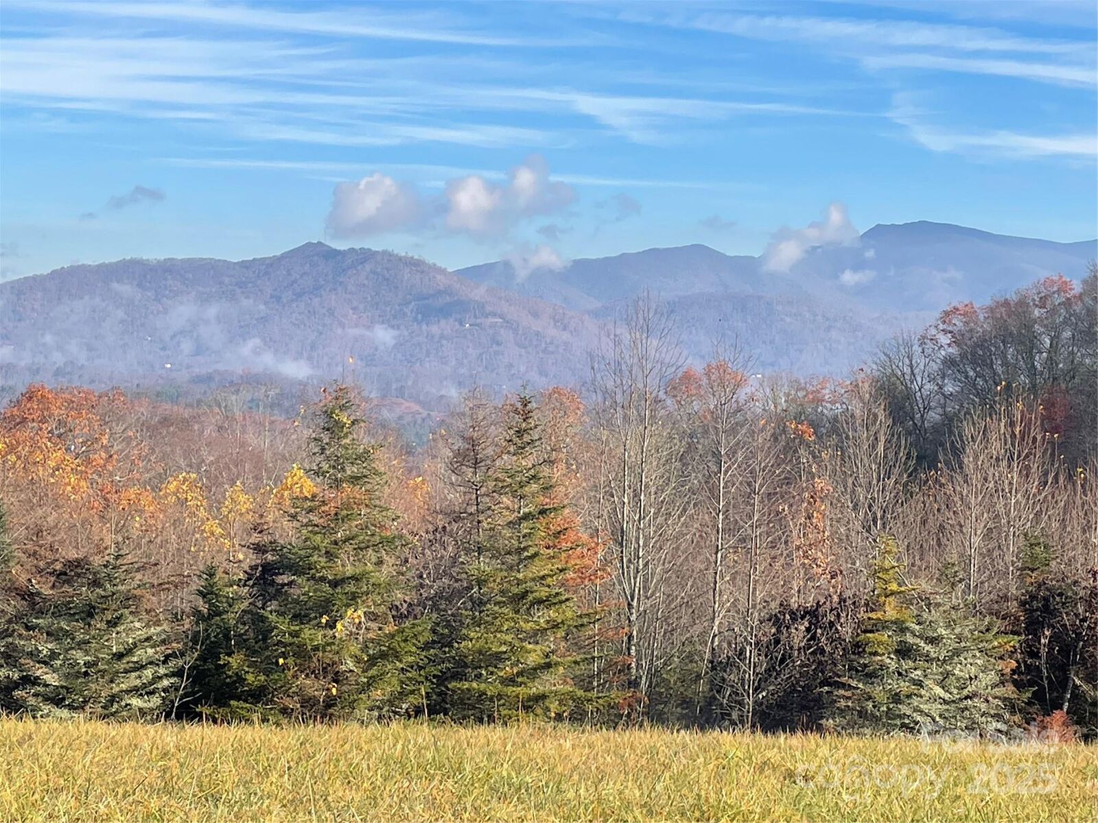 Property Photo:  999 Chestnut Mountain Drive  NC 28740 